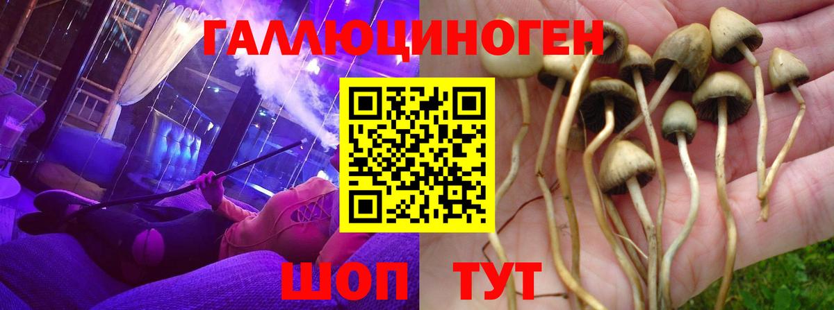 Коломна  Галлюциногенные грибы Psilocybe  Вход с VPN 